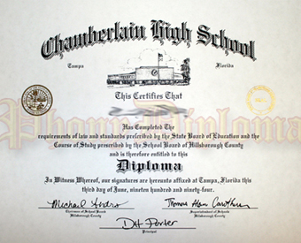 High School Fake Diploma With 2 Fused Gold Foil Seals